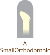 A_SmallOrthodonthic
