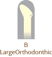 B_LargeOrthodonthic